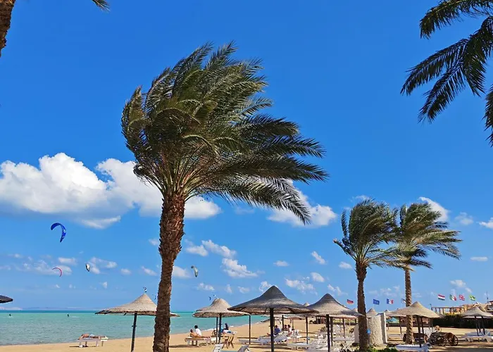 Cozy Sea View Palma 公寓 *